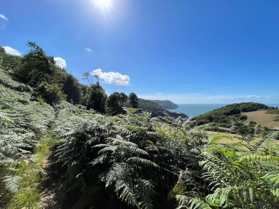 Kittiwake, Moor And Sea Holidays, Lovely Space Near The North Devon Coast Villa Lynton Exterior photo